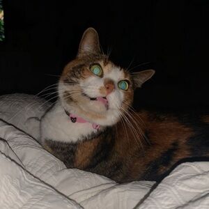 Meet your Posher, Autumn